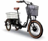 MINNA Falt E-Trike Tiefeinsteiger im Angebot bei Netto Marken-Discount in Buchholz MINNA Falt E-Trike Tiefeinsteiger Angebote von BLAUPUNKT bei Netto Marken-Discount Buchholz für 2.699,00 €