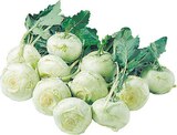 Italien Kohlrabi bei E center im Itzehoe Prospekt für 0,69 €