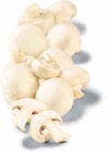 Champignons weiß Angebote bei Netto Marken-Discount Oldenburg für 1,50 €