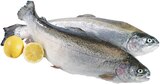 Lachsforelle Angebote bei REWE Rodgau für 1,39 €