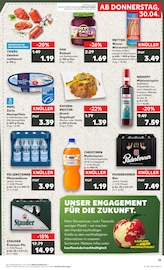 Aktueller Kaufland Prospekt mit Stauden, "Aktuelle Angebote", Seite 19