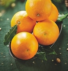 Promo Orange Feuille à 0,38 € dans le catalogue Intermarché Hyper à Agde