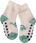 ABS Socken mit Dino-Motiv, beige & grün, Gr. 19/22 Angebote von ALANA bei dm-drogerie markt Wunstorf für 3,90 €