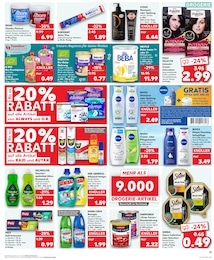 Insektenschutz Angebot & Preis im aktuellen Kaufland Prospekt Insektenschutz Angebot im aktuellen Kaufland Prospekt auf Seite 19