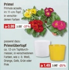 V-Markt Westerheim, Unterallgäu Prospekt mit  im Angebot für 0,99 €