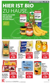 Küche im Kaufland Prospekt in Bruchsal Aktueller Kaufland Prospekt mit Küche, "Hier bin ich richtig", Seite 55