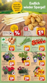 Spargel im REWE Prospekt in Münster Aktueller REWE Prospekt mit Spargel, "Dein Markt", Seite 5