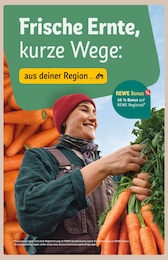 Staubsauger Angebot & Preis im aktuellen REWE Prospekt Staubsauger Angebot im aktuellen REWE Prospekt auf Seite 31