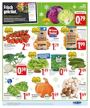 Aktueller EDEKA Prospekt mit Kürbis, "IM EINSATZ FÜR FRISCHE & VIELFALT.", Seite 4