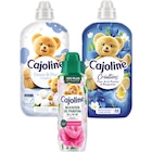 SUR TOUT - CAJOLINE dans le catalogue Carrefour Market