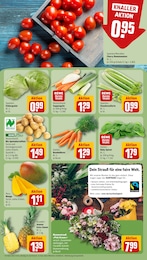 Tomaten Angebot & Preis im aktuellen REWE Prospekt Tomaten Angebot im aktuellen REWE Prospekt auf Seite 7