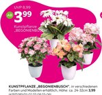 KUNSTPFLANZE „BEGONIENBUSCH“ im Angebot bei mömax in Lehrte KUNSTPFLANZE „BEGONIENBUSCH“ Angebote bei mömax Lehrte für 3,99 €