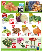 Garten im EDEKA Prospekt in Rosenheim Aktueller EDEKA Prospekt mit Garten, "Mit dem Joker °punkten & gewinnen", Seite 3