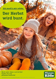 Pflanzen Kölle Prospekt für Wustermark mit 11 Seiten Pflanzen Kölle Prospekt für Wustermark: Der Herbst wird bunt!, 11 Seiten, 13.10.2021 - 27.10.2021