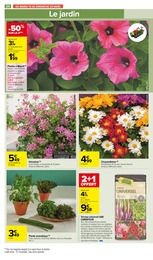 Offre Jardinage dans le catalogue Carrefour Market du moment à la page 26