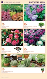 Prix et réduction Hortensia dans le prospectus Intermarché Super en cours Offre Hortensia dans le catalogue Intermarché Super du moment à la page 4