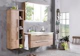Midischrank Aviano im XXXLutz Prospekt Midischrank Aviano von Dieter Knoll Collection im aktuellen XXXLutz Prospekt für 29,90 €