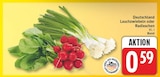Lauchzwiebeln für 0,59 € bei EDEKA im Angebot Lauchzwiebeln im aktuellen EDEKA Prospekt