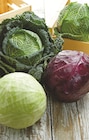 Intermarché Targé - Promo Chou Vert Promo Chou Vert à 1,29 € dans le catalogue Intermarché à Targé