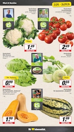 Kürbis im EDEKA Prospekt in Beckum Aktueller EDEKA Prospekt mit Kürbis, "Aktuelle Angebote", Seite 4