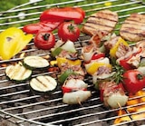 Kugelgrill Brody von Primaster für 59,00 € bei Globus-Baumarkt im Angebot Kugelgrill Brody von Primaster im aktuellen Globus-Baumarkt Prospekt