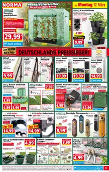 Getränke Angebot im aktuellen Norma Prospekt auf Seite 3