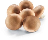 Champignon braun im Angebot bei Netto Marken-Discount in Wolfsburg Champignon braun Angebote bei Netto Marken-Discount Wolfsburg für 1,79 €