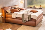 Boxspringbett BX910 für 315,00 € bei Segmüller im Angebot Boxspringbett BX910 im aktuellen Segmüller Prospekt