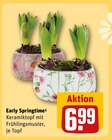 Early Springtime Angebote bei REWE Schweinfurt für 6,99 €