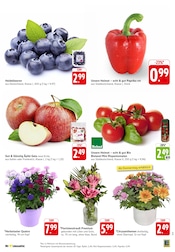 Aktueller EDEKA Prospekt mit Bio, "Aktuelle Angebote", Seite 3