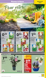 Offre Potager dans le catalogue Lidl du moment à la page 33