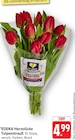 Tulpenstrauß Angebote von EDEKA Herzstücke bei EDEKA Pirmasens für 4,99 €