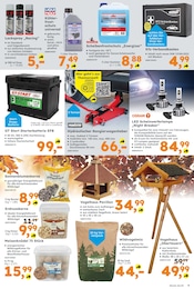Ähnliche Autobatterieladegerät Angebote im Prospekt "Immer eine Idee besser" von Globus-Baumarkt Ähnliches Angebot bei Globus-Baumarkt in Prospekt "Immer eine Idee besser" gefunden auf Seite 9