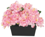 Jardinière de 18 pivoines en promo chez Bazarland Amiens à 14,99 €