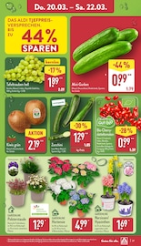 Aktueller ALDI Nord Prospekt mit Zucchini, "Aktuelle Angebote", Seite 27