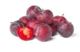 Aktuelle Obst Angebote bei Penny in Wuppertal Aktuelles Pflaumen Angebot bei Penny in Wuppertal ab 1,49 €
