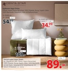 Aktuelles Kopfkissen Vegan Dream Angebot bei Zurbrüggen in Oberhausen ab 34,99 €