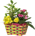 Osterkorb von  im aktuellen Lidl Prospekt für 