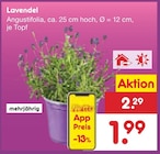 Netto Marken-Discount - Lavendel Angebot im Prospekt Lavendel bei Netto Marken-Discount im Prospekt "" für 1,99 €