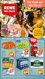 Ähnliche Angebote wie Tulpen im Prospekt "Dein Markt" auf Seite 1 von REWE in Goslar