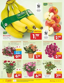 Bananen im aktuellen Netto Marken-Discount Prospekt (Trier) Bananen im Netto Marken-Discount Prospekt "Aktuelle Angebote" mit 62 Seiten (Trier)