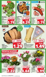 Ähnliche Angebote wie Spargel im Prospekt "KNÜLLER" auf Seite 2 von Kaufland in Euskirchen