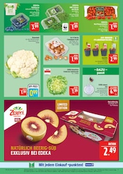 Zimmerpflanzen im Marktkauf Prospekt in Fürth Aktueller Marktkauf Prospekt mit Zimmerpflanzen, "AUSWAHL RIESIG, PREISE NIEDRIG", Seite 9