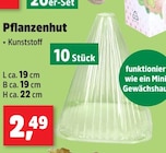 Pflanzenhut im aktuellen Thomas Philipps Prospekt