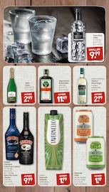 Aktueller nahkauf Prospekt mit Wodka, "nichts liegt näher", Seite 10