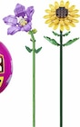 Max Flowers im Angebot bei E center in Stuttgart Max Flowers Angebote von Zuru bei E center Stuttgart für 7,77 €