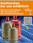 Gasflasche im aktuellen Globus-Baumarkt Prospekt