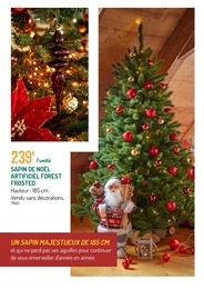 Prix et réduction Sapin Artificiel dans le prospectus Botanic en cours Offre Sapin Artificiel dans le catalogue Botanic du moment à la page 6