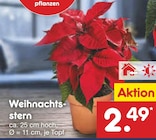 Weihnachtsstern Angebote bei Netto Marken-Discount Viersen für 2,49 €