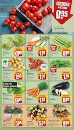 Pfanne Angebot im aktuellen REWE Prospekt auf Seite 5